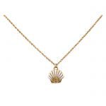 Clam Shell Necklace