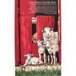 Corriedale Sheep Tea Towel