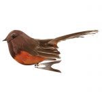 Feather Fantail Bird Clip On Tree Decoration