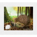 Kiwi Bird Canvas Print