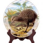 Kiwi Prestige Plate