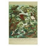 Native Birds of NZ Prestige Tea Towel