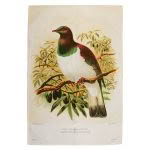 Wood Pigeon Prestige Tea Towel