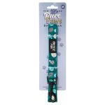 Counting Kiwi Dog Leash - Image 2