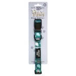 Counting Kiwi Dog Collar - Image 2